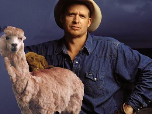 Charlie Robison