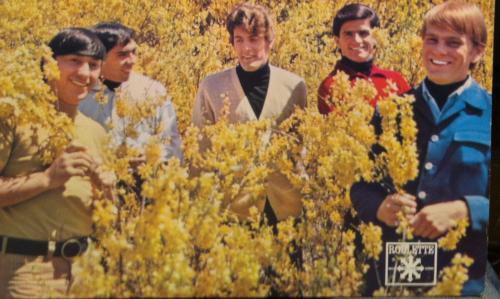 Tommy James and the Shondells