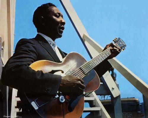 Muddy Waters